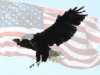 eagleflag.jpg